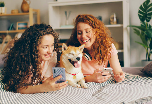Sind Matratzen zwischen 100 und 300 Euro ihren Preis wert? Hier sind die wichtigsten Punkte, die es zu beachten gilt!